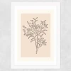 Soft Leaves II