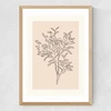 Soft Leaves II