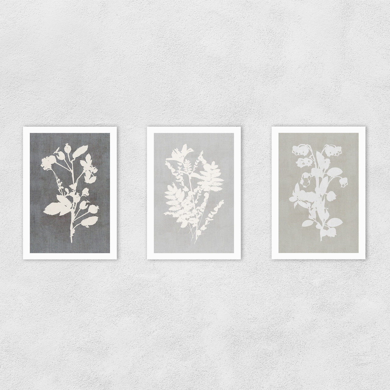 Botanical Illustration Triptych