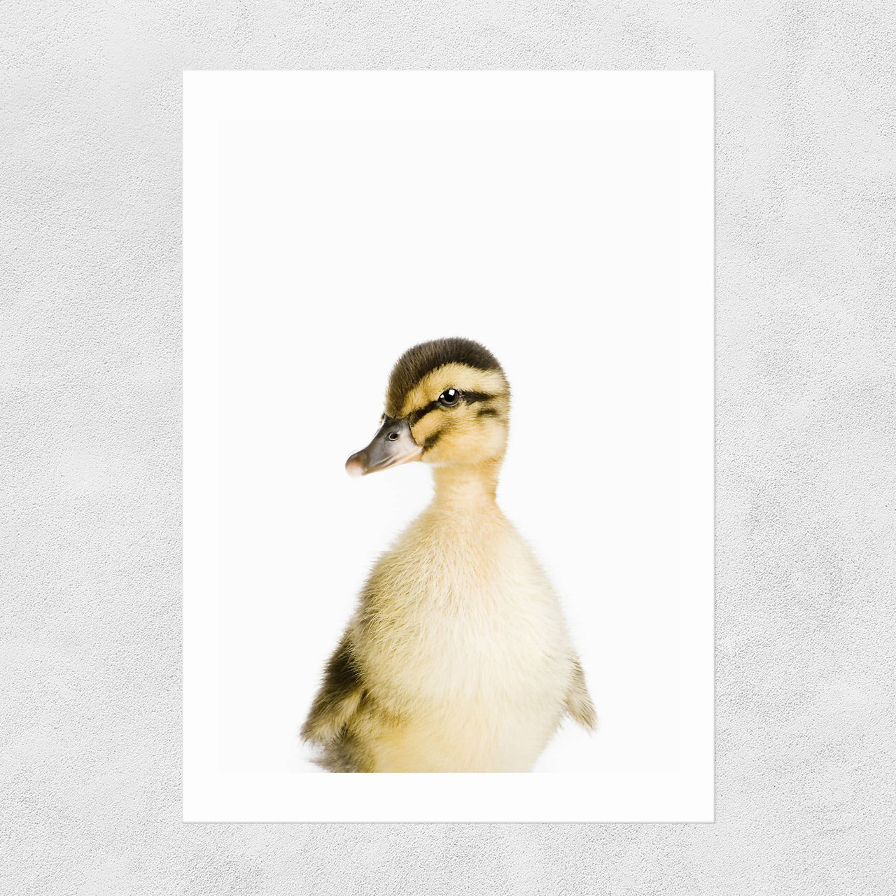 Duckling Unframed Print