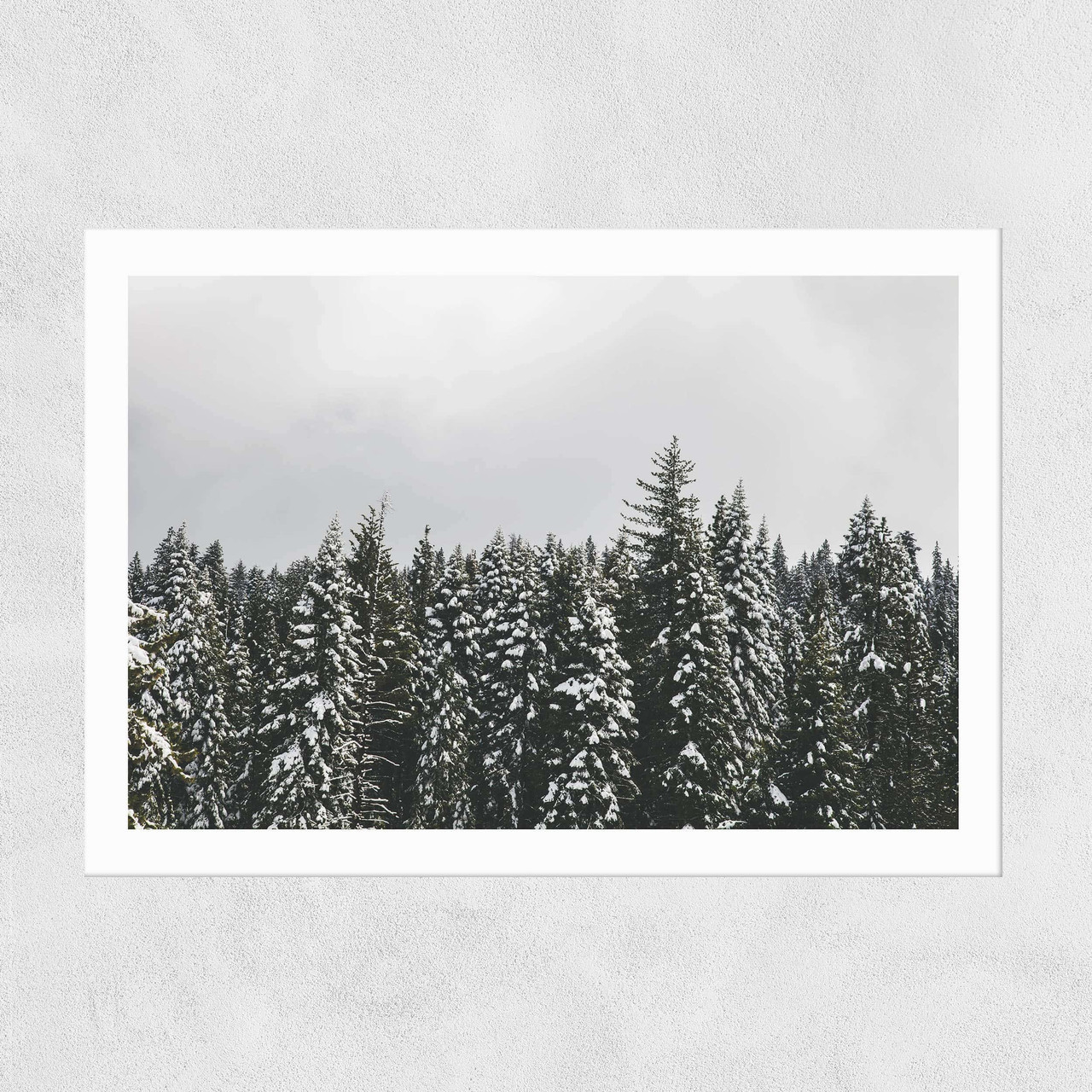 Snow Trees Unframed Print