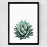 Succulent Set 2 Medium Black Frame