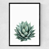 Succulent Set 2 Narrow Black Frame