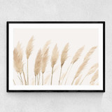 Pampas Narrow Black Frame