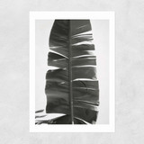 Tropical Jungle Vibes Unframed Print