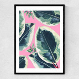 Rubber Plant Narrow Black Frame