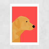 Labrador Unframed Print