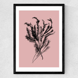 Mono Botanical 2 Medium Black Frame