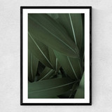 Minimal Plants Narrow Black Frame