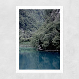 The Path Under Trees Unframed Print