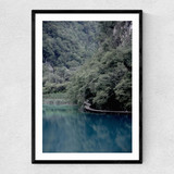 The Path Under Trees Narrow Black Frame
