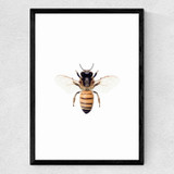 Bee by Sisi and Seb Medium Black Frame