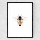 Bee by Sisi and Seb Narrow Black Frame