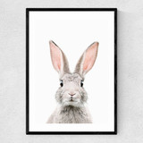 Baby Bunny Narrow Black Frame