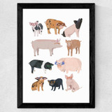 Pigs in Glasses Wide Black Frame