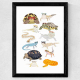 Reptiles in Glasses Wide Black Frame