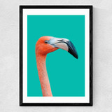 Flamingo by Sisi and Seb Medium Black Frame