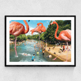 Flamingo Shore Narrow Black Frame