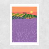 Lavender Fields Unframed Print