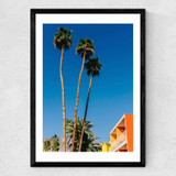 Palm Springs Vibes V Medium Black Frame