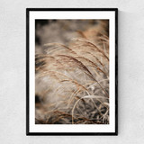 Grass XX Narrow Black Frame
