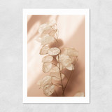 Last Summer XII Unframed Print
