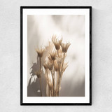 Last Summer XXVII Narrow Black Frame