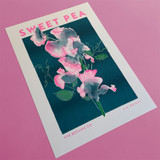 Sweet Pea Unframed Print