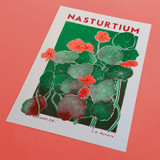 Nasturtium by Eve Print Studio Unframed Print