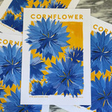 Cornflower Unframed Print