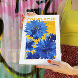 Cornflower Unframed Print