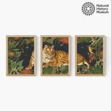 Vintage Tiger Triptych Medium Oak Frame