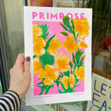 Primrose Unframed Print