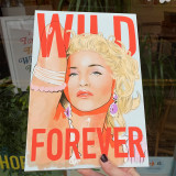Madonna Unframed Print