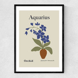 Aquarius