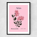 Aries Narrow Black Frame