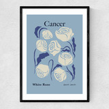 Cancer
