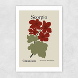 Scorpio Unframed Print