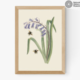 Bee and Wild Hyacinth Medium Oak Frame