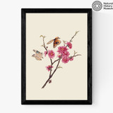 Flower and Butterflies