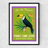 Zoo Toucan
