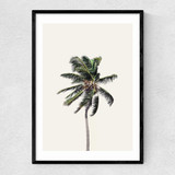Palm Tree I