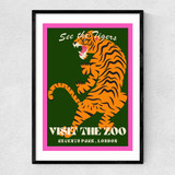 Zoo Tiger Narrow Black Frame