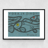 Fish Matchbox Label