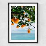 Amalfi Coast Oranges Narrow Black Frame