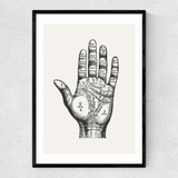 Palmistry
