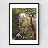Morenia Poppigiana Narrow Black Frame