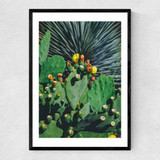 Wild Blooms