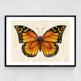 Butterfly by Dieter Braun Narrow Black Frame
