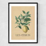 Les Citron Narrow Black Frame